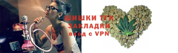 ПСИЛОЦИБИНОВЫЕ ГРИБЫ Каменка