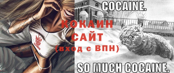 ПСИЛОЦИБИНОВЫЕ ГРИБЫ Каменка