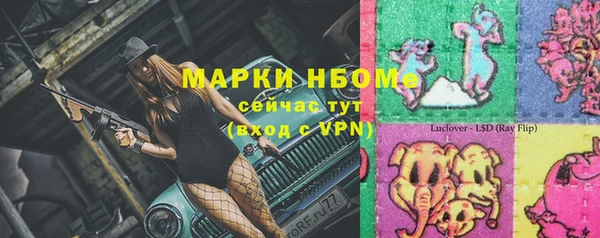 ПСИЛОЦИБИНОВЫЕ ГРИБЫ Каменка