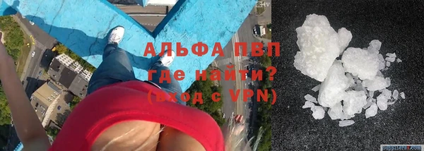 ПСИЛОЦИБИНОВЫЕ ГРИБЫ Каменка