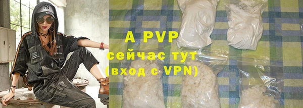 ПСИЛОЦИБИНОВЫЕ ГРИБЫ Каменка