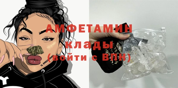 ПСИЛОЦИБИНОВЫЕ ГРИБЫ Каменка