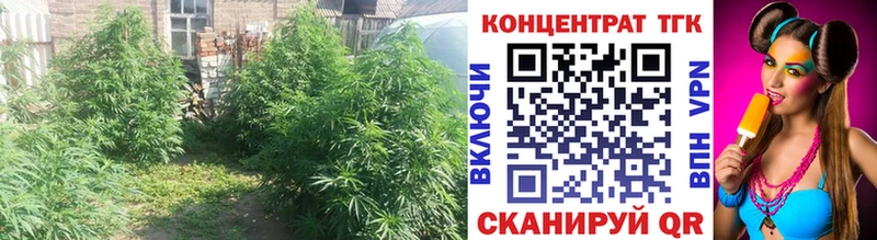 закладка  Архангельск  Дистиллят ТГК жижа 
