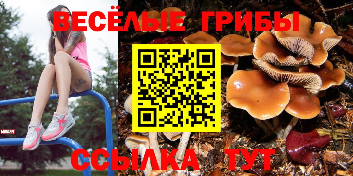 Галлюциногенные грибы мицелий  Вход с VPN  Архангельск 