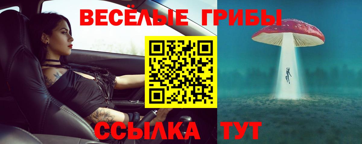 Галлюциногенные грибы Psilocybe Архангельск
